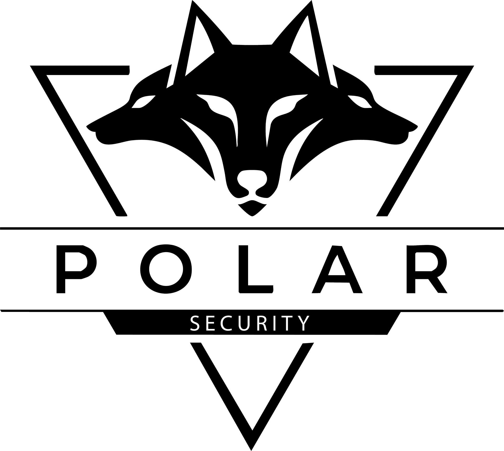 Polar Security Logo